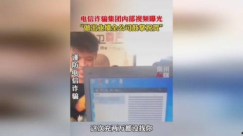 诈骗公司怎么爆料的呢视频,视频揭露诈骗手段曝光