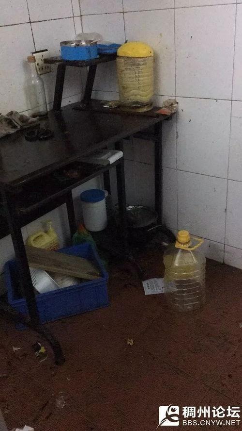 义乌房东最新爆料信息,最新爆料揭示租赁市场惊人真相！